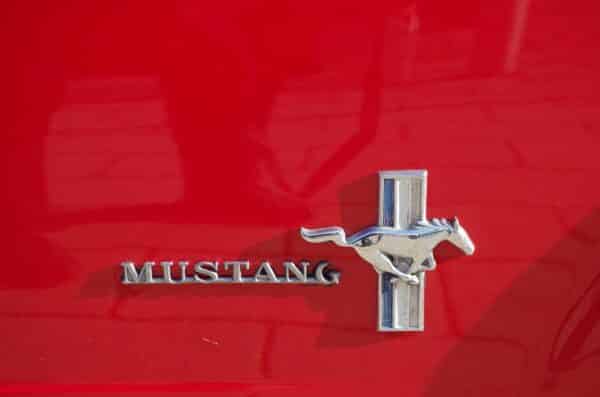 Ford Mustang Coupe 1965 Details Emblem